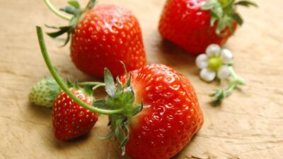 Top 10 Strawberry Origin In China