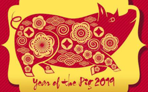 2019 Lunar New Year