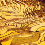 10 Most Beautiful Terraces In China