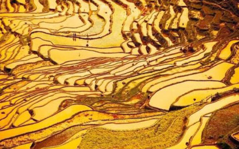 10 Most Beautiful Terraces In China