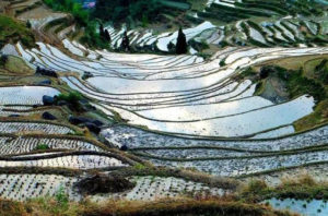 10 Most Beautiful Terraces In China-Yunhe terraces