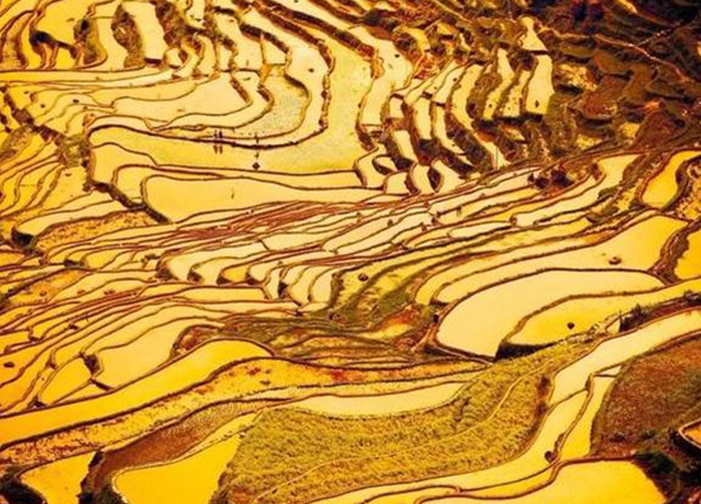 10 Most Beautiful Terraces In China