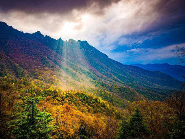 Top 10 Most Beautiful Forest Parks in China