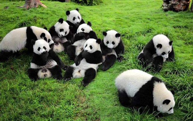 Top 10 Scenic Spots in China