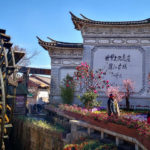 Yunnan Forest Police Publicly Destroys 460 Kg Of Dead And Products Of Wild Animals The Top 10 Tourist Attractions In China