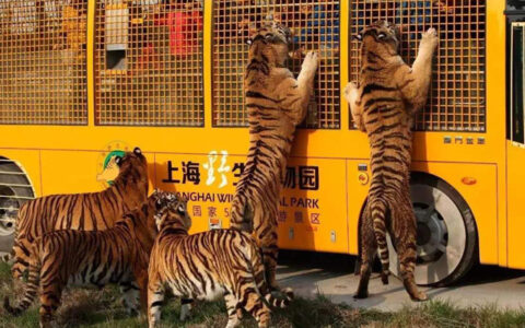 Top 10 Wildlife Parks in China