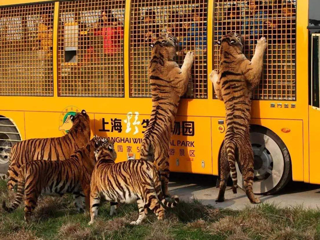 Top 10 Wildlife Parks in China
