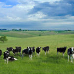 Top 10 Clothing Wholesale Markets in China Four Pastoral Areas in China