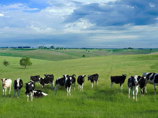 Four Pastoral Areas in China