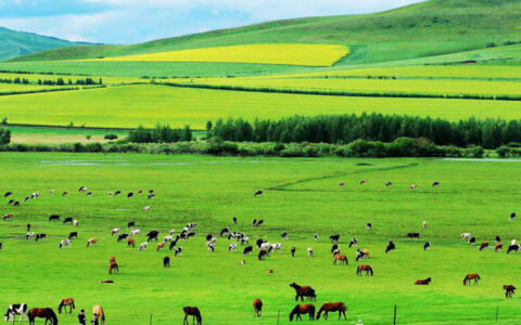 Top Ten of Chinese Geography