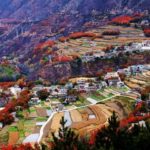 2020 China Insurance Company Market Value Ranking 20 Cold Knowledge About Sichuan