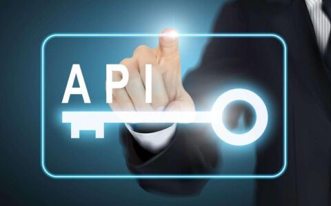 China's Top 10 API Interface Service Platforms In 2020