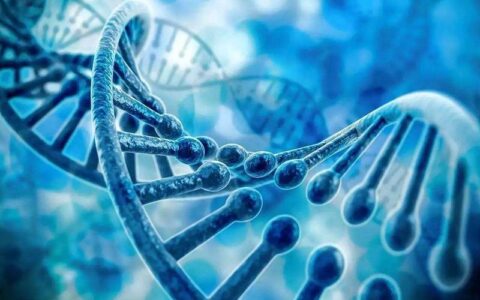 China's Top Ten Genetic Testing Brands