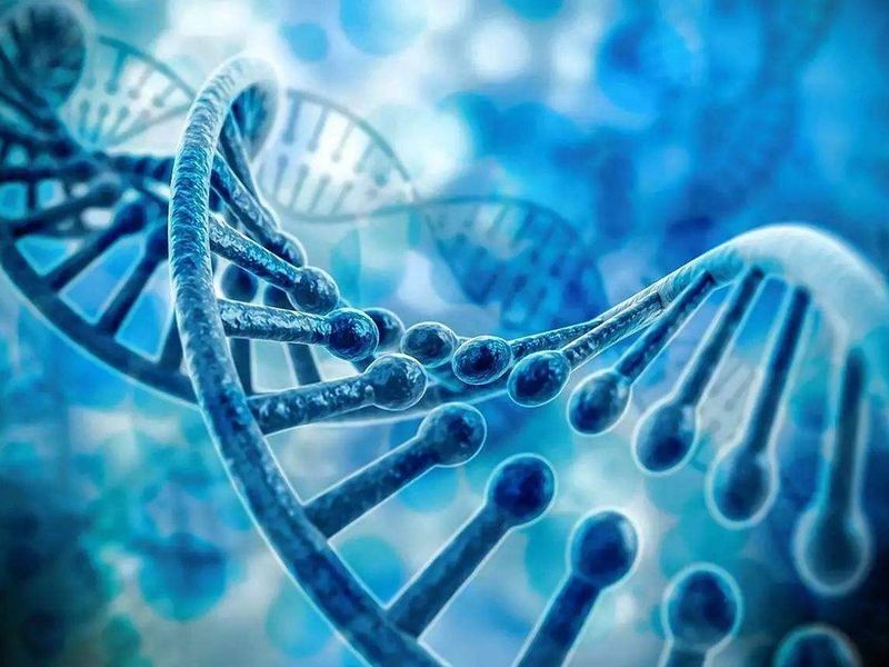 China's Top Ten Genetic Testing Brands