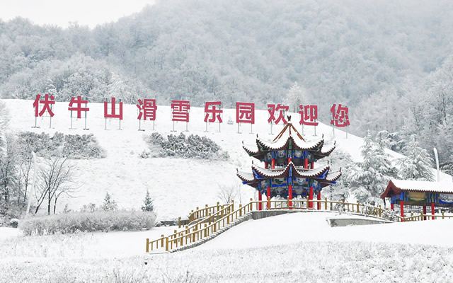 China's Top 10 Summer Ski Resorts-Funiu Mountain Ski Resort