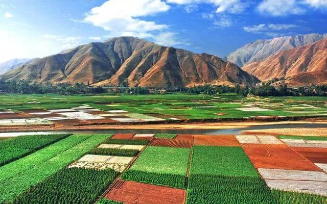 Top 10 Vegetable Planting Bases In China-Yuanmou