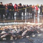 China's Top 10 Winter Catching Festivals