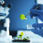National Day of the People’s Republic of China 2021 China's Drug R&D Comprehensive Strength Ranking