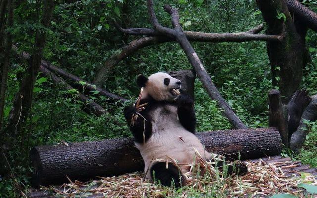 List Of China's First National Parks