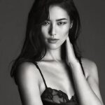 Top 10 Female Supermodels In China-liuwen