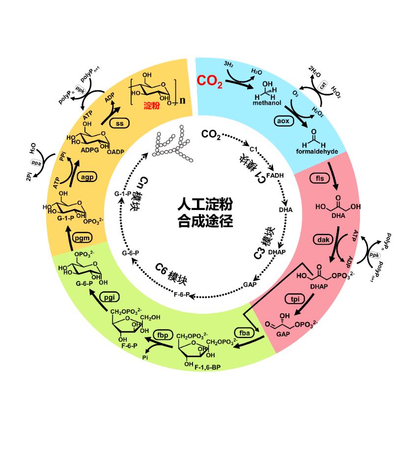 Ten Advances in Chinese Science in 2021