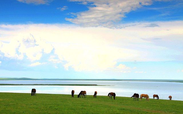 China's Top 10 Freshwater Lakes-Hulun Lake