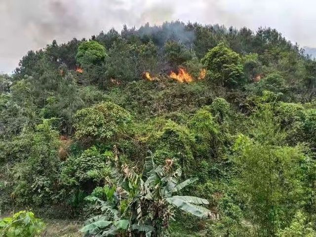 The surrounding scene of the plane crash in Teng County, taken on March 21