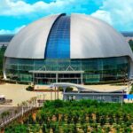 Top 10 Dinosaur Fossil Museums in China