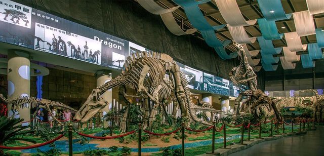 Top 10 Dinosaur Fossil Museums in China-Zhucheng Dinosaur Museum