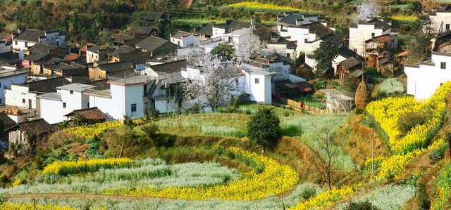 Top 10 Ancient Towns in China-wuyuan