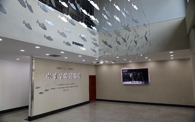 Top 10 Biological Museums in China-Aquatic Biology Museum of the Chinese Academy of Sciences