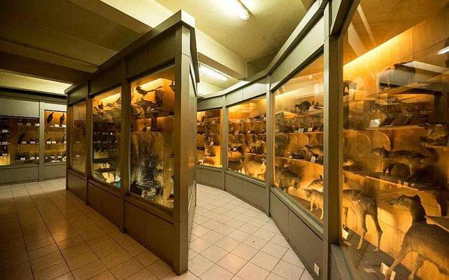 Top 10 Biological Museums in China-Biological Museum of Sun Yat-sen University