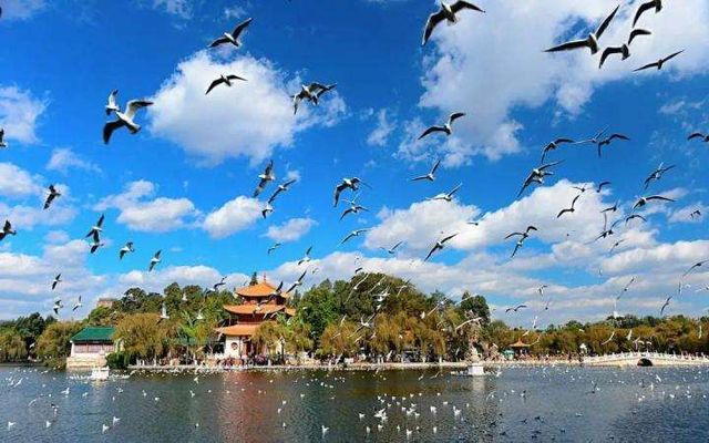Top 10 Greenest Cities in China-kunming