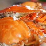 Top 10 Foods and Practice in Sichuan Top 12 Crabs in China