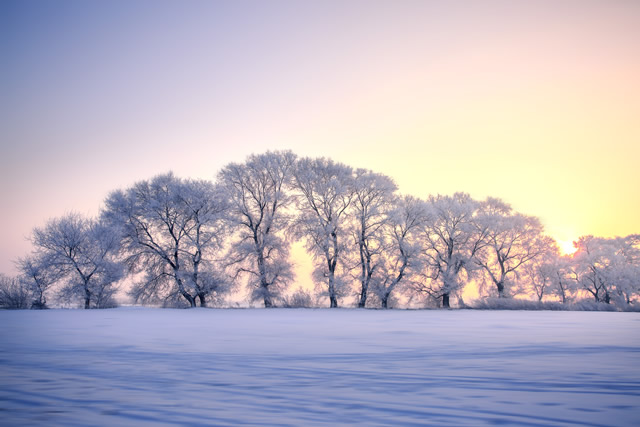 Top 10 Winter Tourist Attractions in China-Jilin Wusong Island