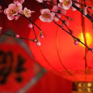 How Do Chinese Celebrate The Spring Festival