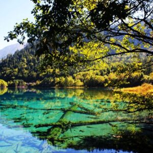 Top 10 Most Beautiful Scenic Spots in China-jiuzhaigou