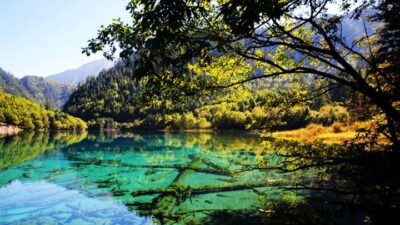 Top 10 Most Beautiful Scenic Spots in China-jiuzhaigou