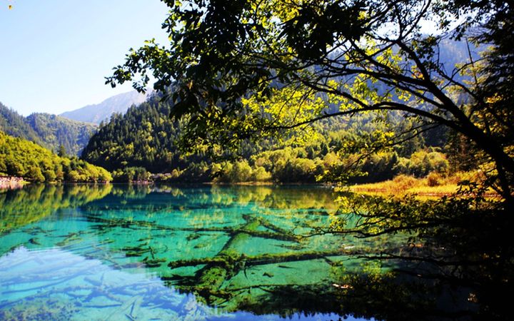 Top 10 Most Beautiful Scenic Spots in China-jiuzhaigou