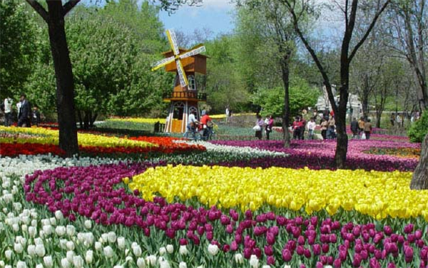 Top 10 Botanical Gardens in China-2