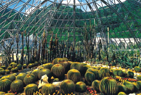 Top 10 Botanical Gardens in China-3