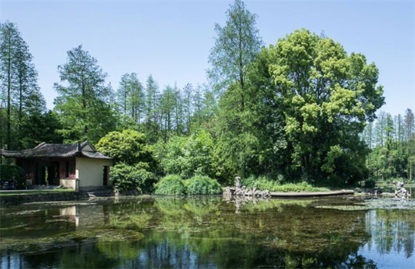 Top 10 Botanical Gardens in China-6