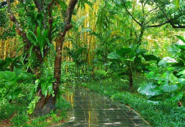 Top 10 Botanical Gardens in China-7