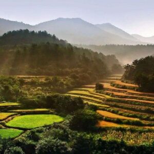 Top 10 Longevity Towns in China