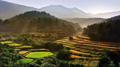 Top 10 Longevity Towns in China