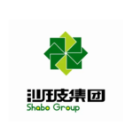 Top 10 Glass Companies In China-shabo