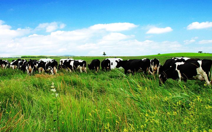 Top Ten Most Beautiful Ranch in China