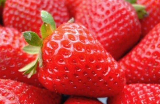 Top 10 Strawberry Producing Areas In China