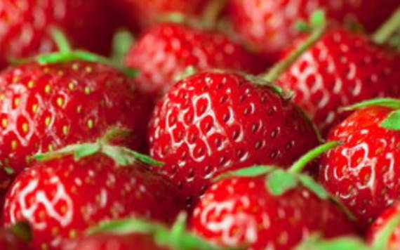 Top 10 Strawberry Producing Areas In China