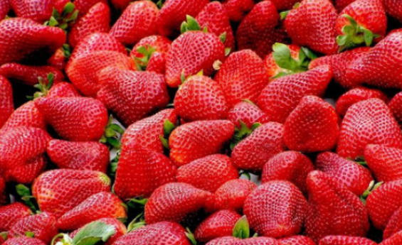 Top 10 Strawberry Producing Areas In China